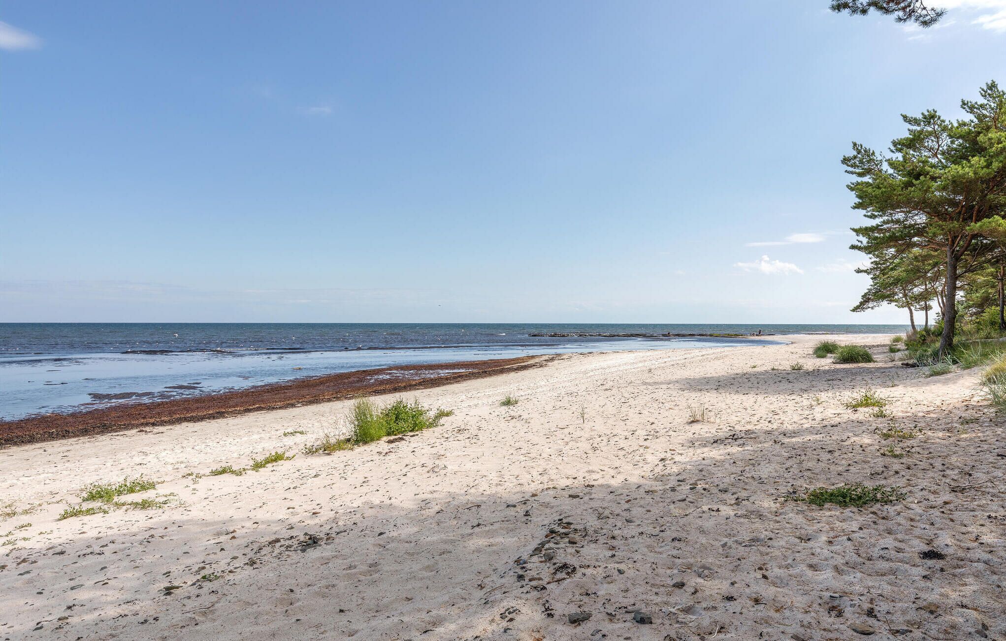 A beach with a sandy shore, a rocky area near the water, and a line of trees on the right.