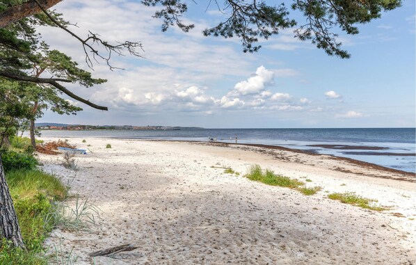 Playa en los alrededores y pesca 