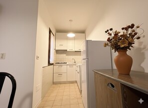 Kühlschrank, Mikrowelle, Herdplatte, Toaster