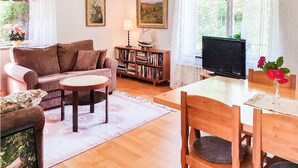 Fernseher