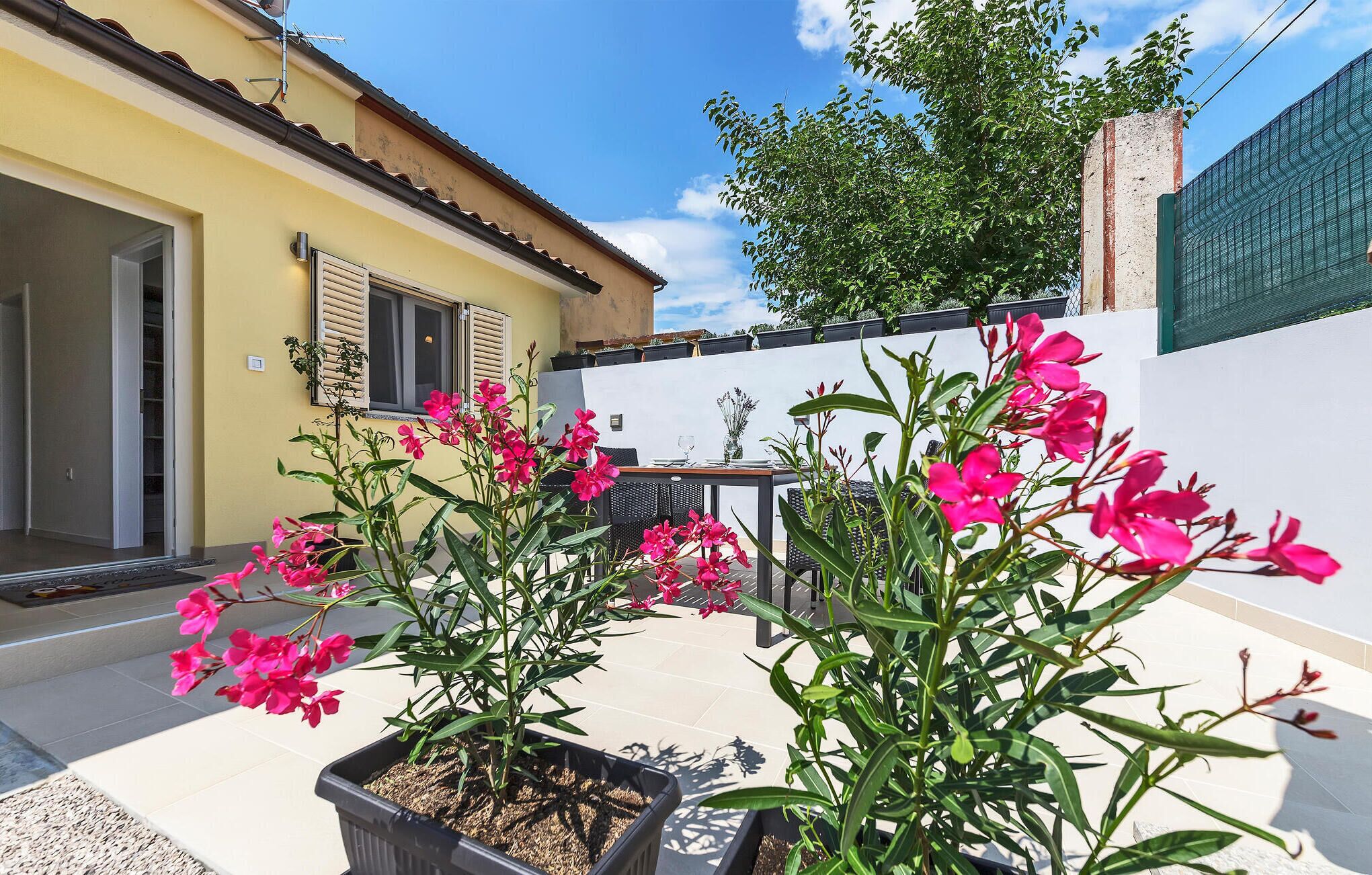 المنطقة المحيطة بالمنشأة