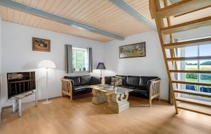Fernseher, Kamin
