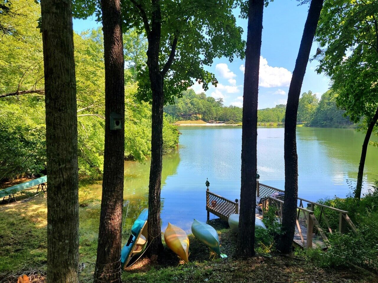 Private log cabin on the lake! Beach/waterfall/ dogs.