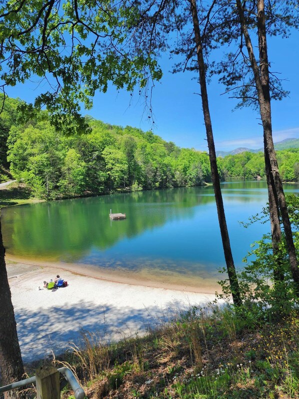 Beach nearby - Private log cabin on the lake! Beach/waterfall/ dogs. (Lake Lure)