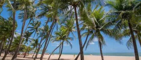 Playa
