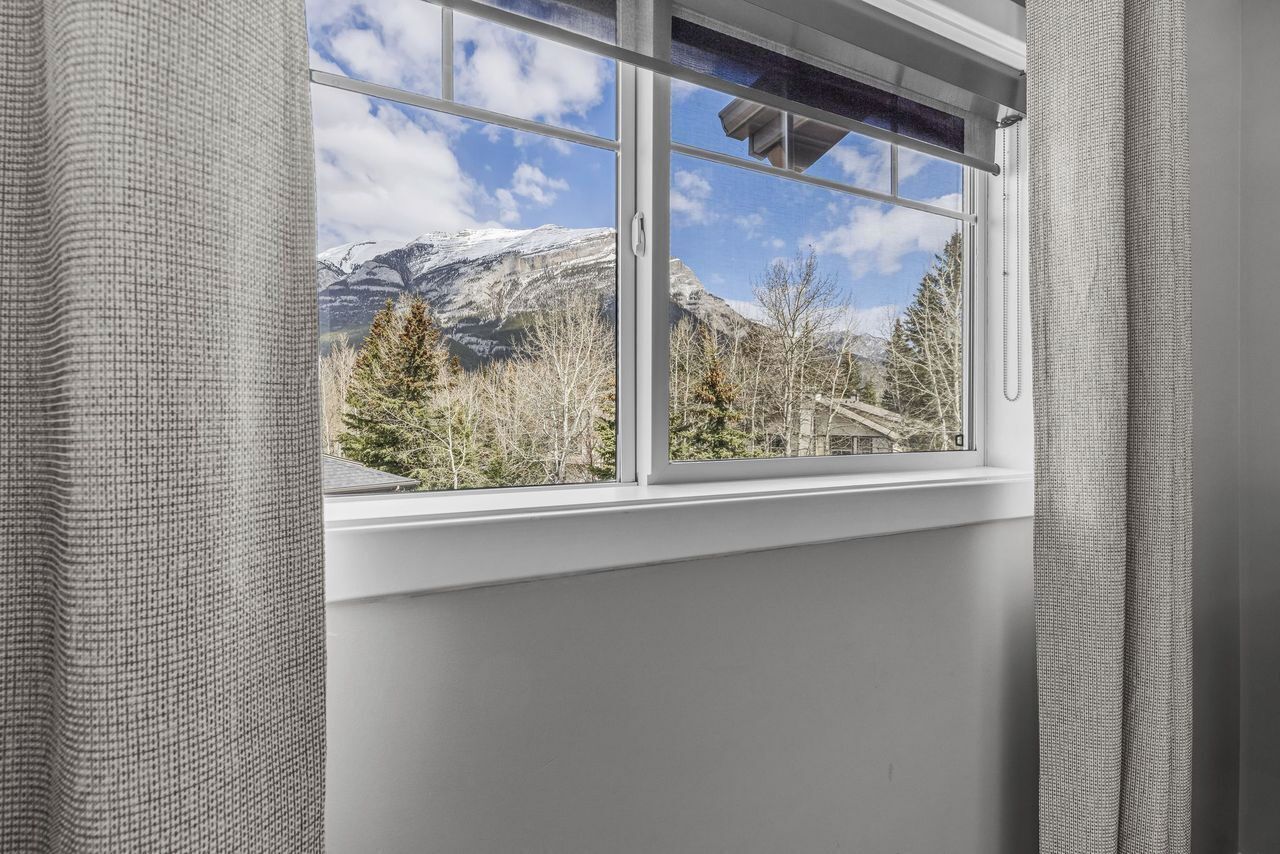 A window with a view of snow-capped mountains and trees.