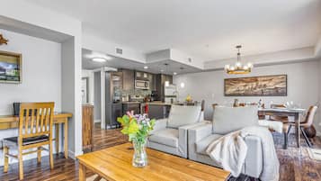 Smart TV, fireplace, books
