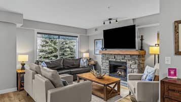 Smart TV, fireplace, books