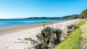 Ein Strand mit klarem, blauem Wasser, sandigem Ufer und grüner Vegetation.
