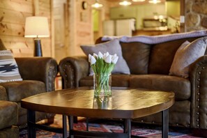 Smart-tv, eldstad och böcker