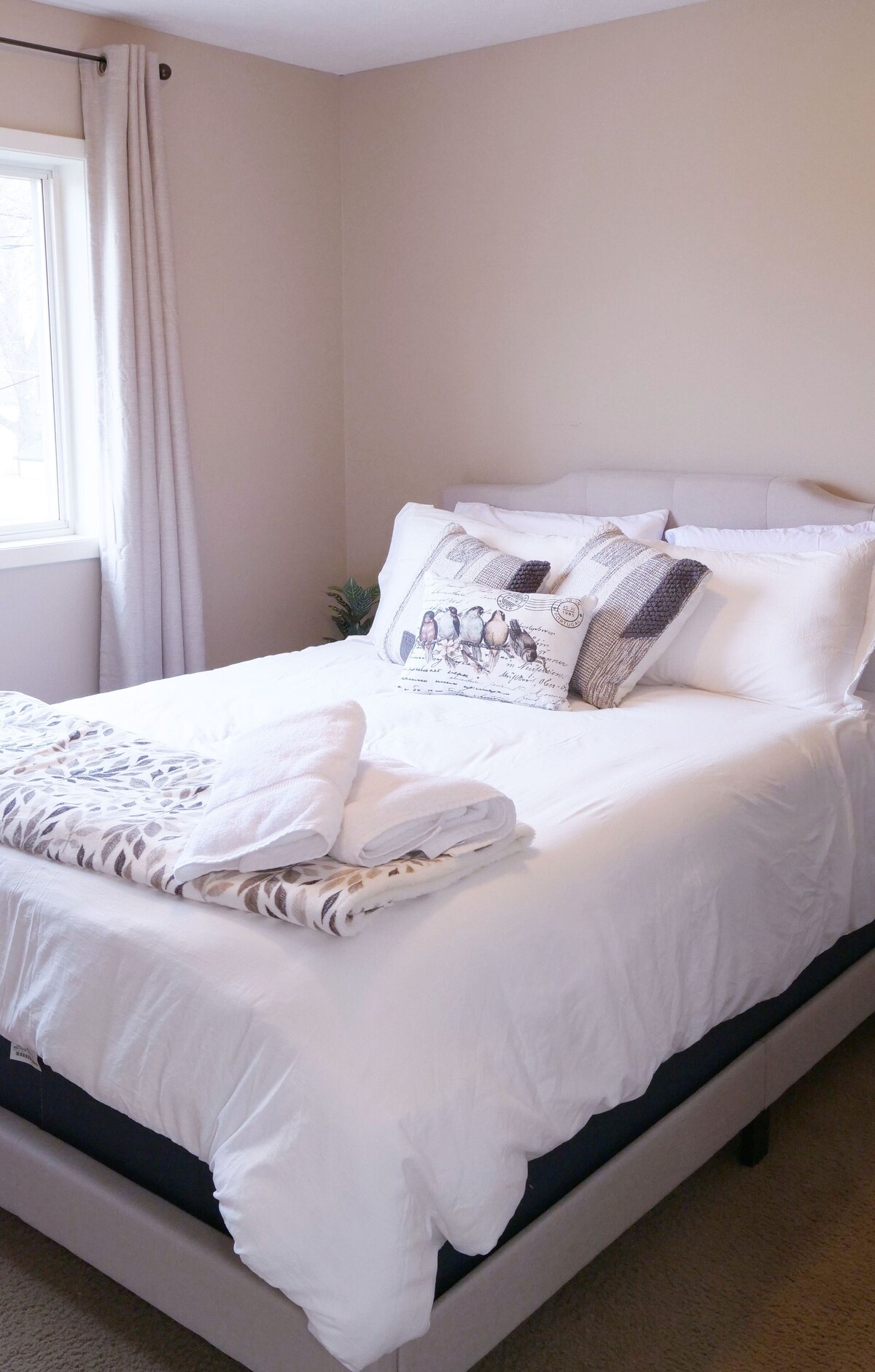 Image de profil de l’hôte