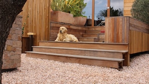 Un chien est assis sur des marches en bois dans un espace extérieur moderne, avec un mur en pierre et une clôture en bois.
