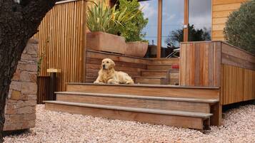 Enceinte de lâhĂ©bergement