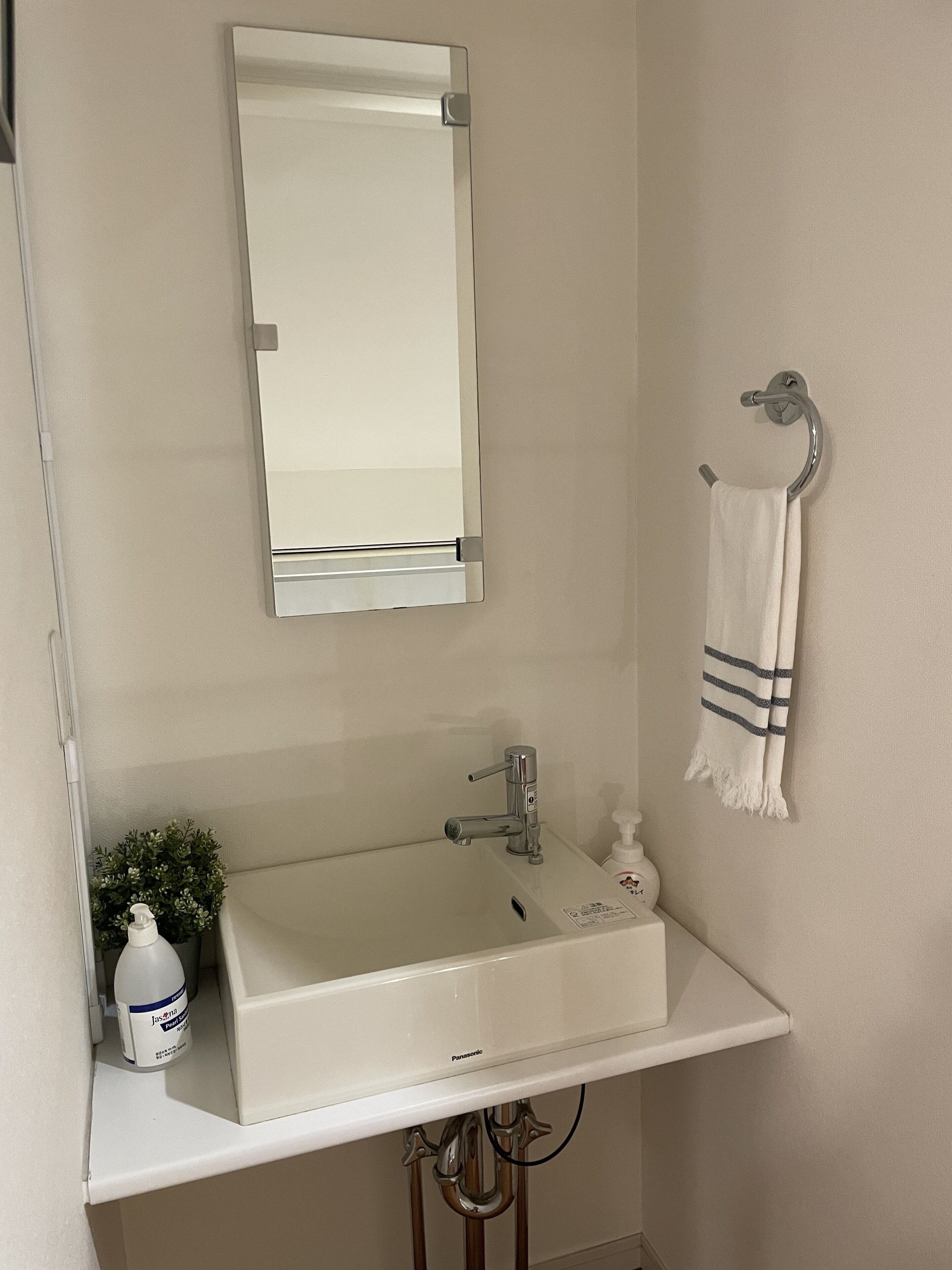 A bathroom with a white sink, a mirror, a towel rack, and a small potted plant.