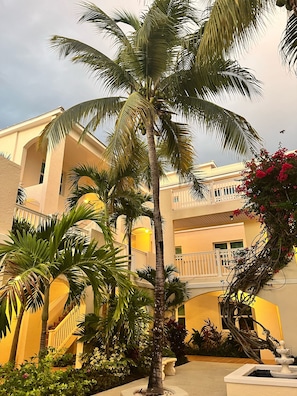Stroll through the serene outdoor space, surrounded by lush greenery and a majestic palm tree.