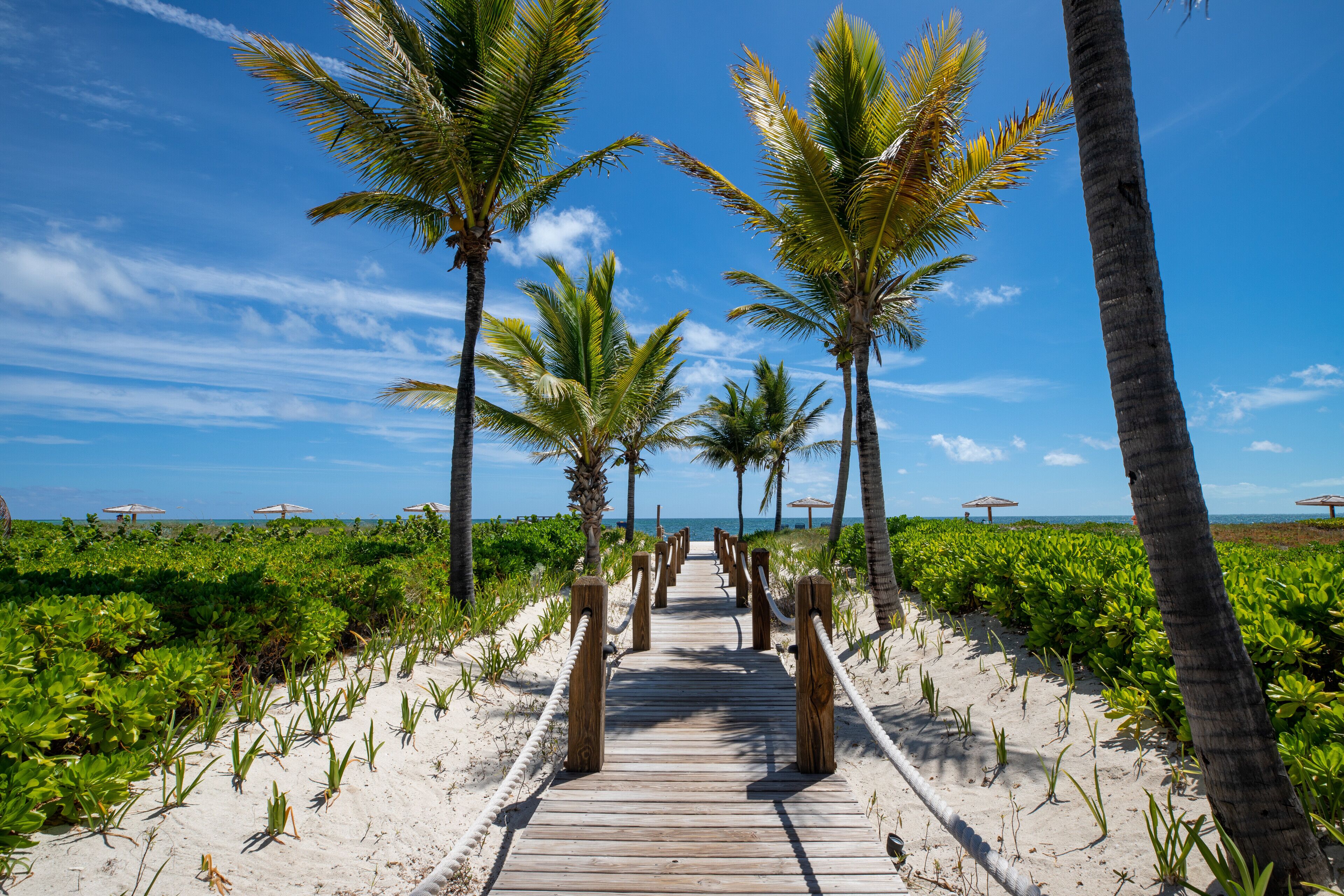 På stranden, solsenger og strandhåndklær