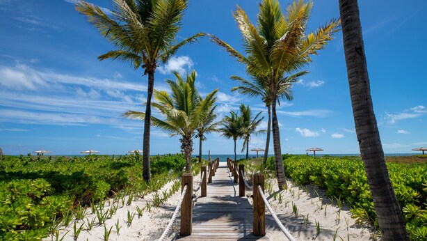 Une promenade en bois menant à une plage bordée de palmiers et parsemée de parasols.