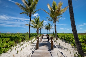 Pasarela de madera que conduce a una playa con palmeras y sombrillas.