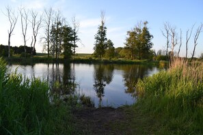 Unclassified image, 2 of 24, button