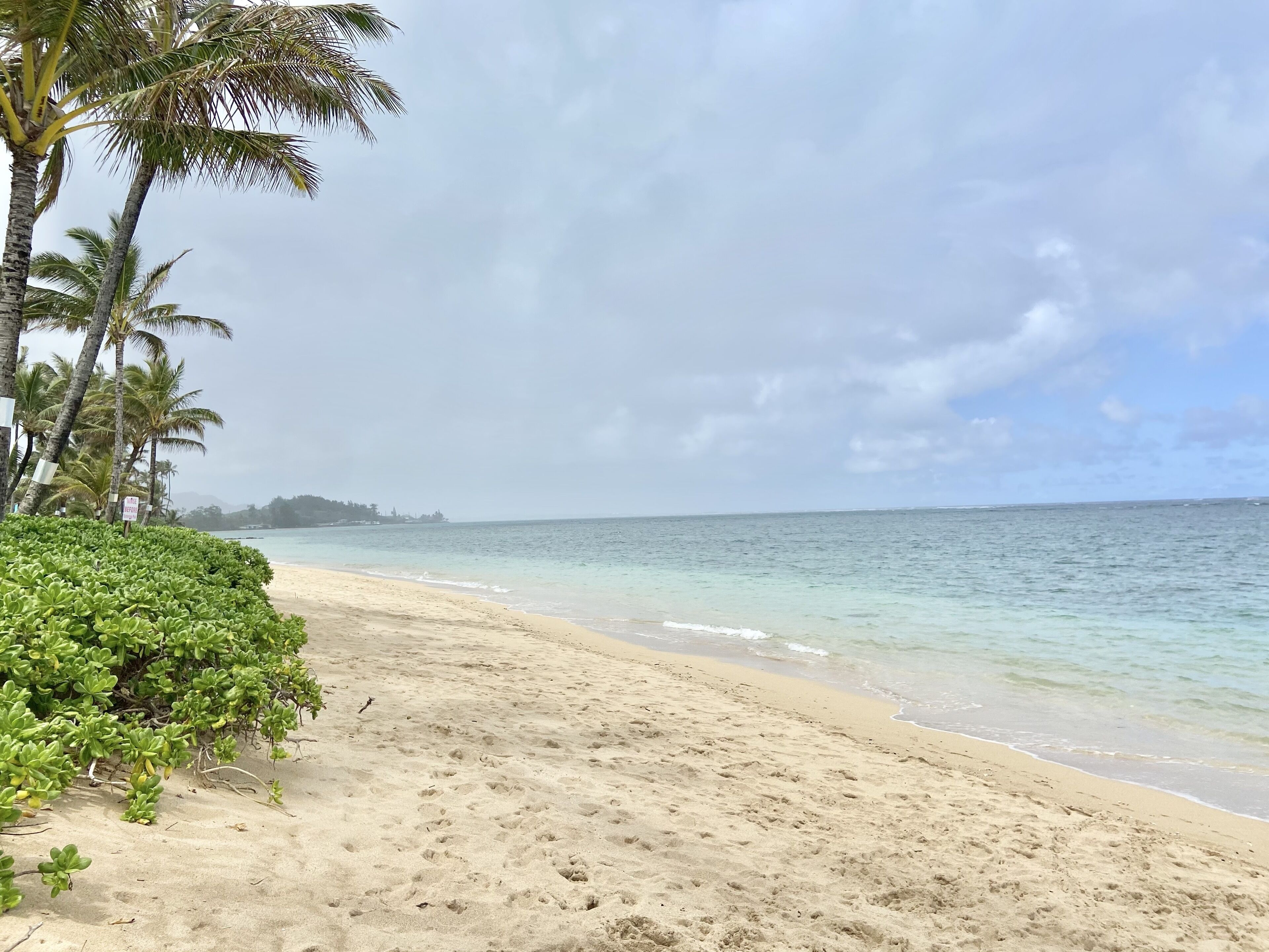 On the beach, sun loungers, beach towels