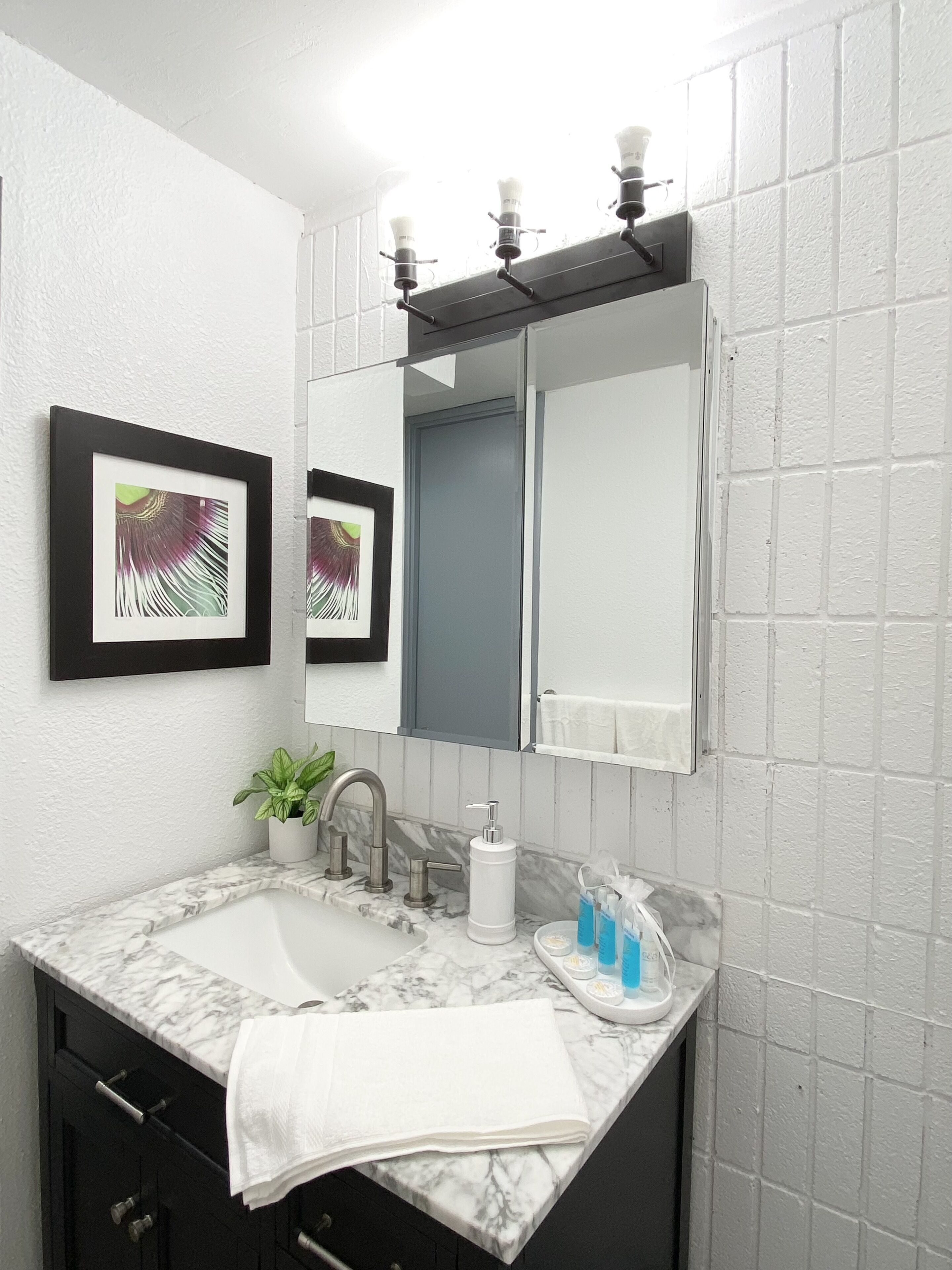 Combined shower/tub, towels, soap, toilet paper