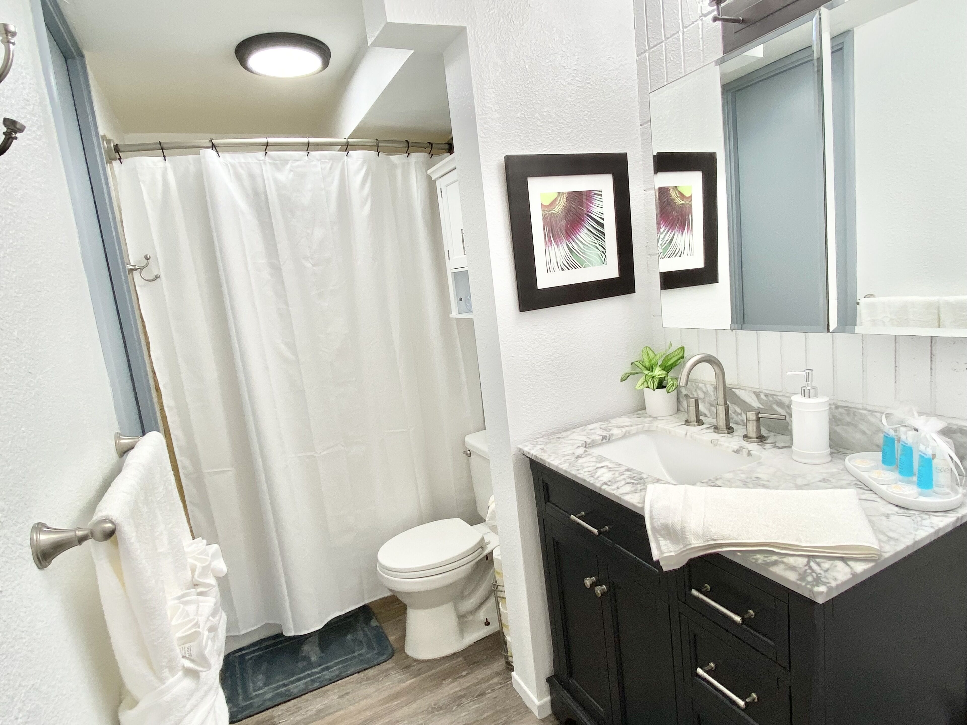 Combined shower/tub, towels, soap, toilet paper