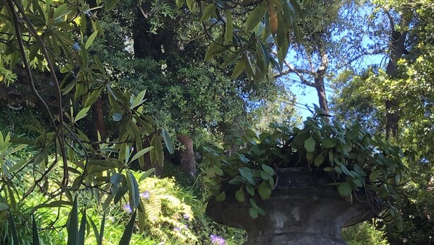 A garden with a stone fountain, lush greenery, and a clear blue sky. - The Garden of Paradise (Santa Cruz)