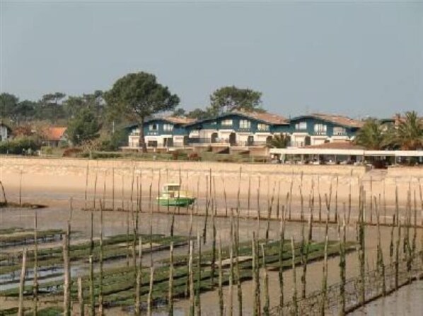 Una hilera de casas frente a una playa arenosa.