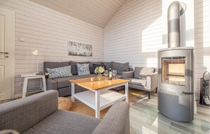 TV, fireplace, DVD player