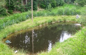 Terrain de l’hébergement 