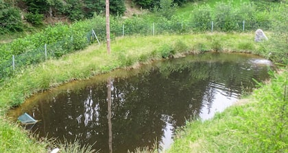 Ferienwohnung - Waldviertel