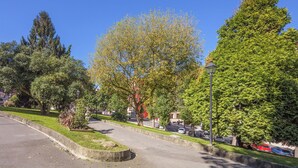 Een straat met bomen, een voetpad, geparkeerde auto's en een lantaarnpaal.