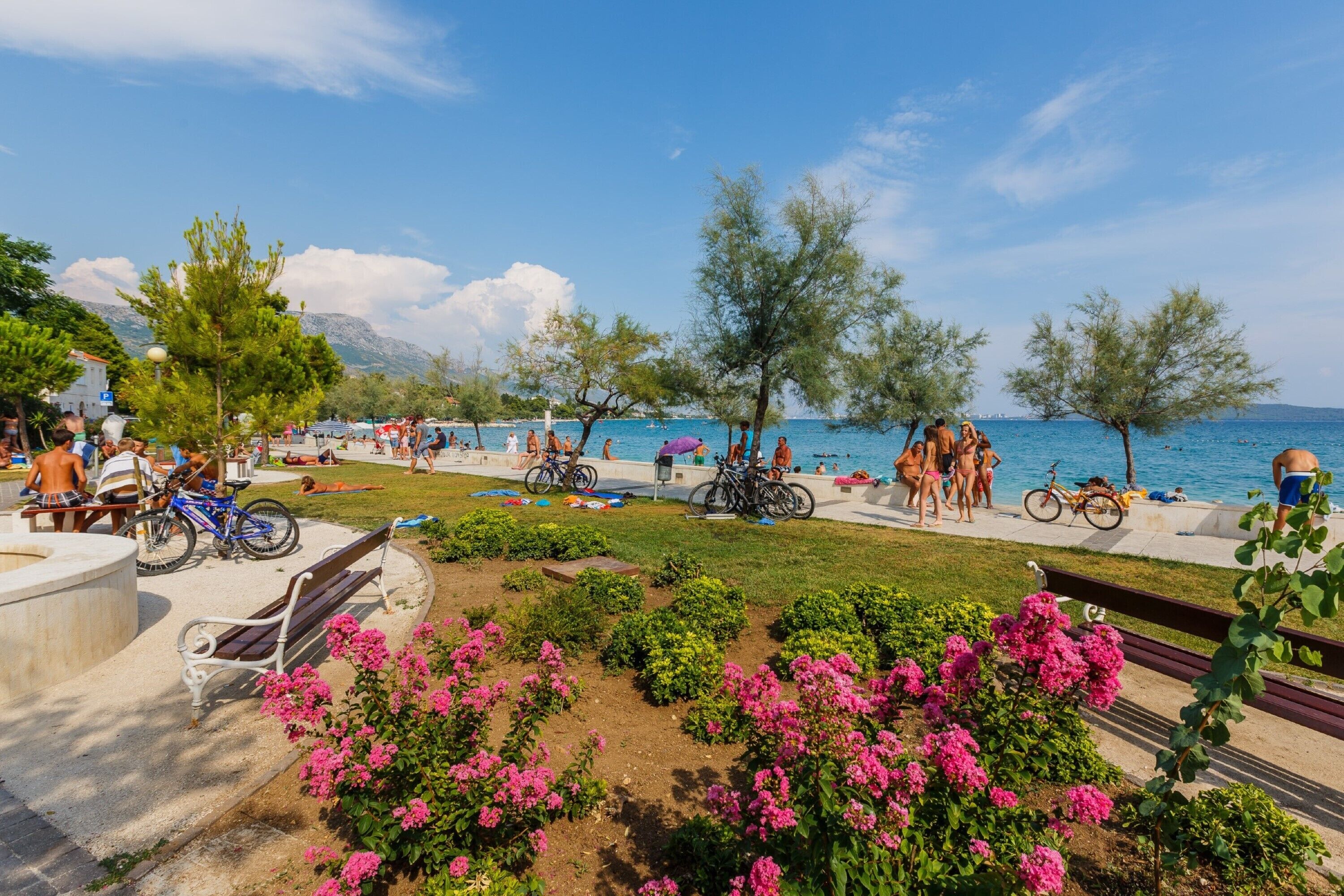 A beachside park with benches, bicycles, and people relaxing.