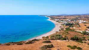 Un paisaje costero con playa, edificios y vegetación seca.
