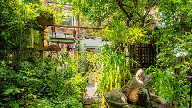 Un jardin luxuriant, avec une grande variété de plantes et un petit étang.