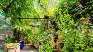 Un jardin luxuriant, agrémenté de diverses plantes en pot et d’une structure en bois rustique.