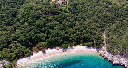 Pet friendly home in Porozina