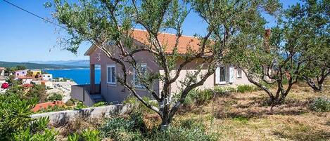 Terrain de l’hébergement