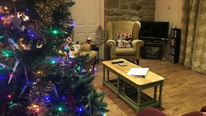 Ein gemütliches Wohnzimmer mit geschmücktem Weihnachtsbaum, einem bequemen Sessel, einem Holztisch und einem Kamin.