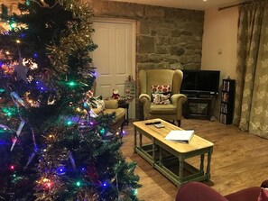 Smart TV, chimenea, reproductor de DVD y libros 