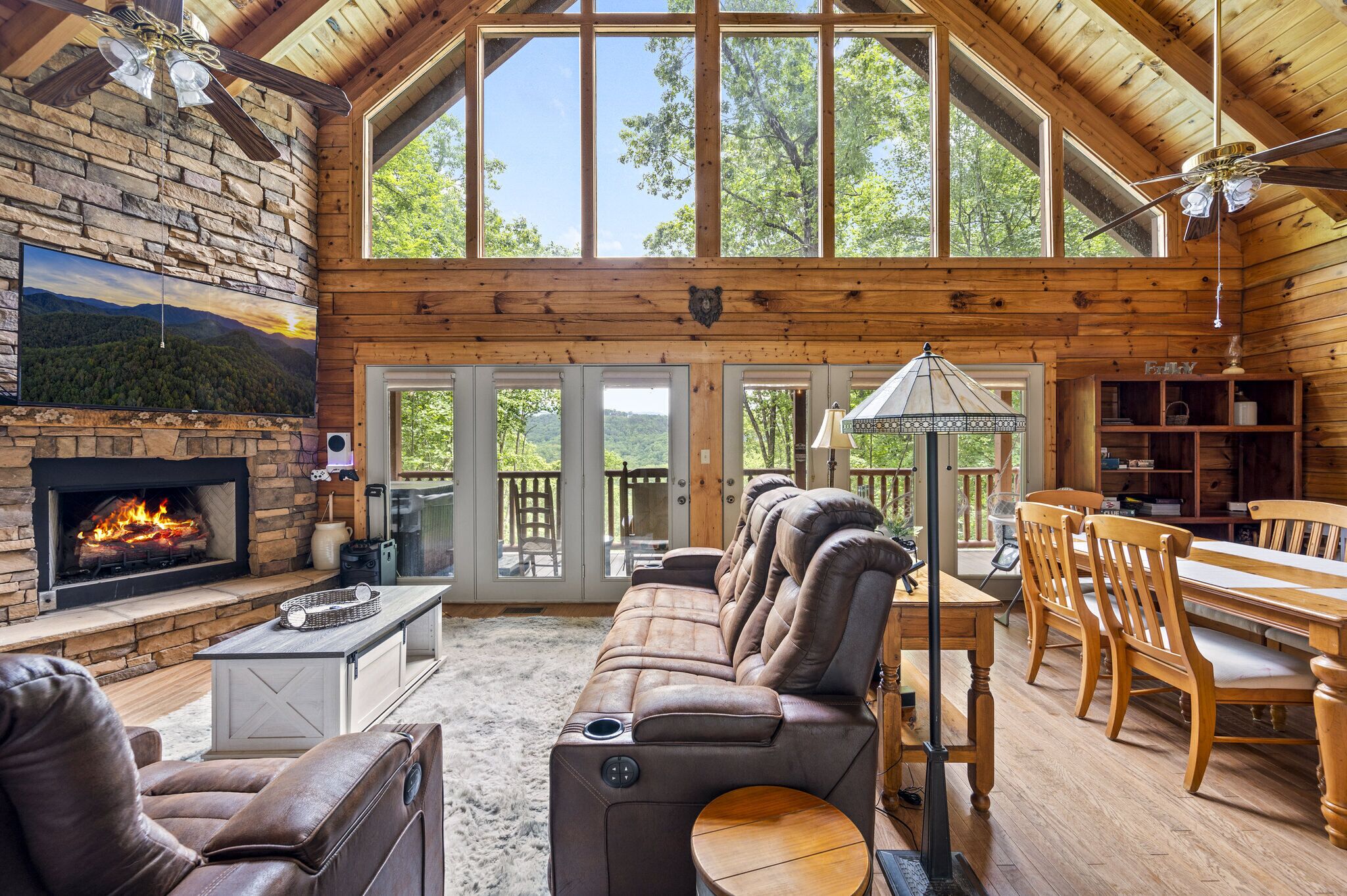 Smart-TV, Kamin, Videospiele, Bücher