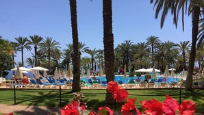 A poolside area with lounge chairs and umbrellas, surrounded by palm trees and red flowers. - Luxury Apartment, Fast WIFI, Large Terrace, Heated Pool, Marazul (Adeje)