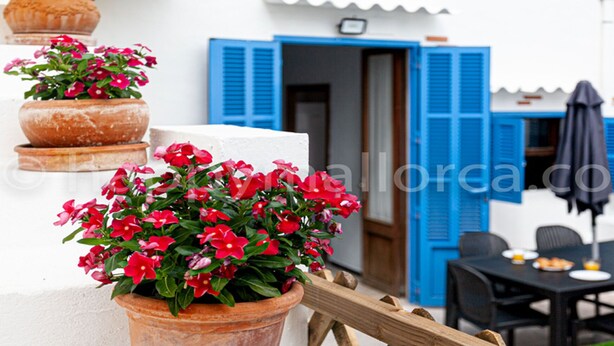 A terrace with potted red flowers, a table with a plate and a glass, and blue shutters on the building. - 3 bedrooms ground floor, large terrace and pool, near the beach. (Can Picafort)