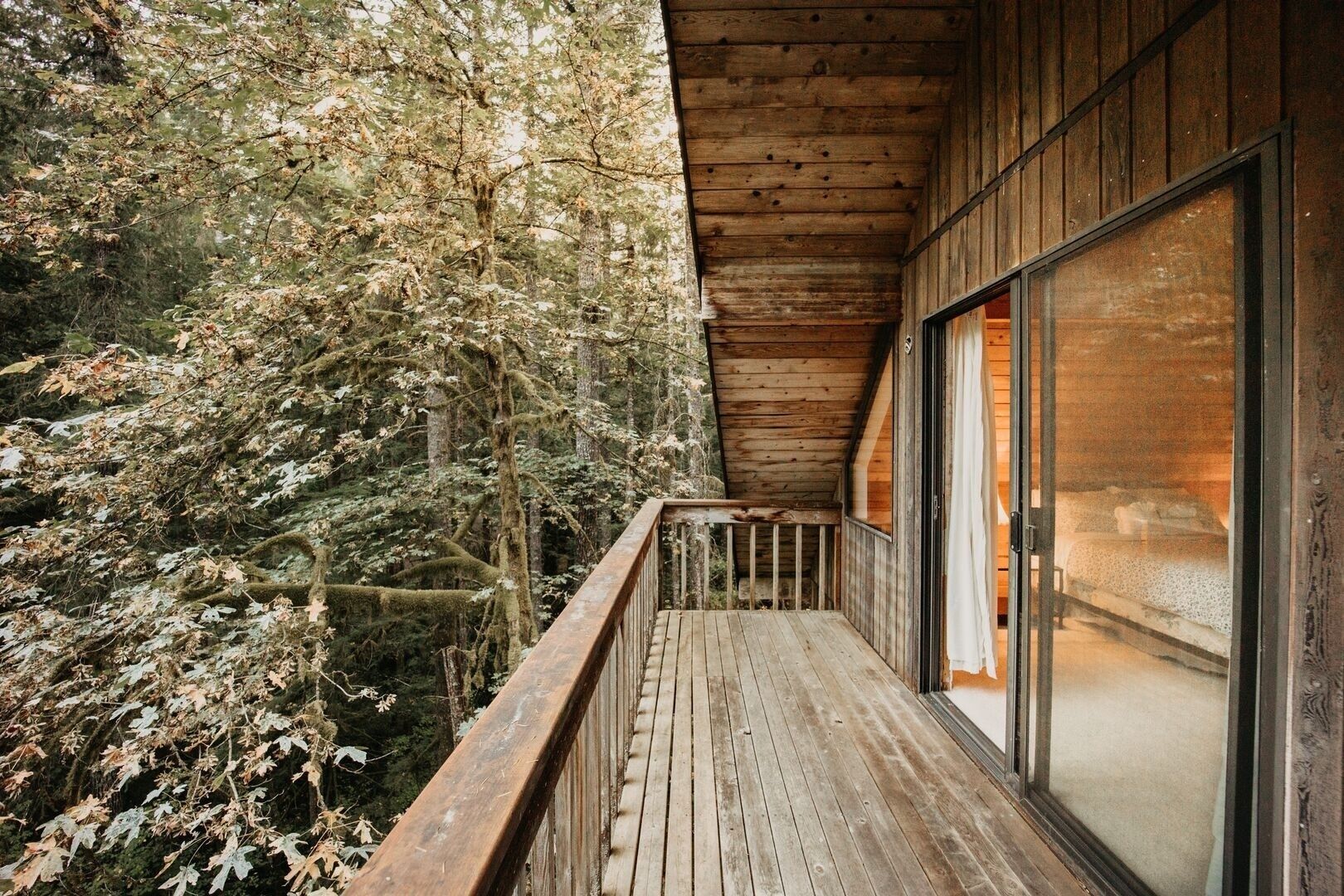 Cabin, 3 Bedrooms | Property grounds