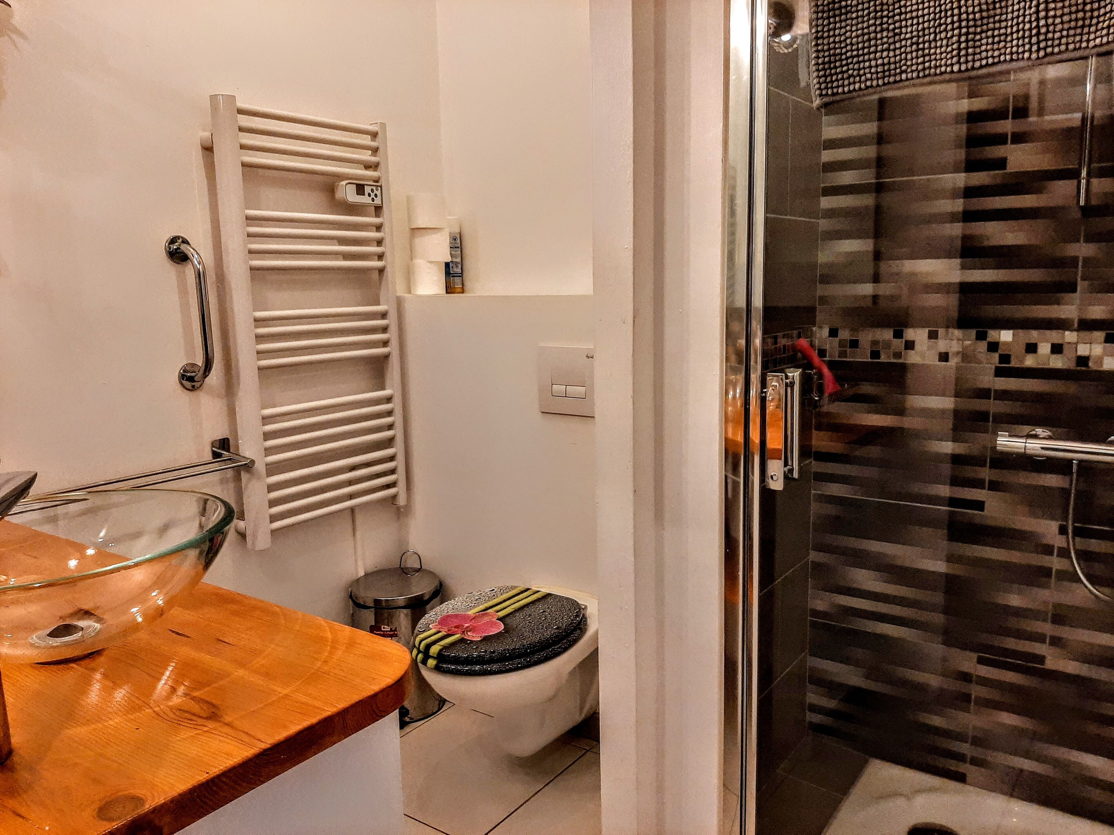 A bathroom with a glass bowl sink, a toilet with a decorative seat, a towel rack, and a shower area with a tiled wall.