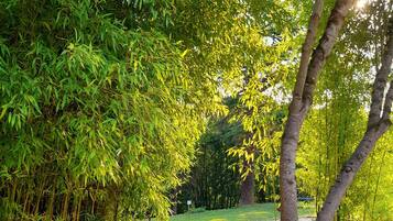 Enceinte de lâhĂ©bergement