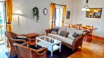 TV, fireplace, books