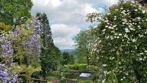 Un jardin luxuriant, parsemé de diverses plantes à fleurs, et une serre.