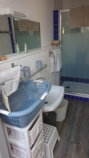 Shower, hair dryer, toilet paper - The Spray  (Dinard)