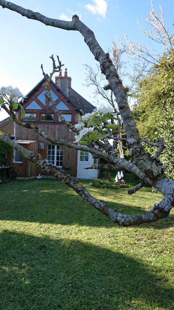 A house with a sloped roof and a chimney, surrounded by a well-maintained lawn and a tree with white blossoms.